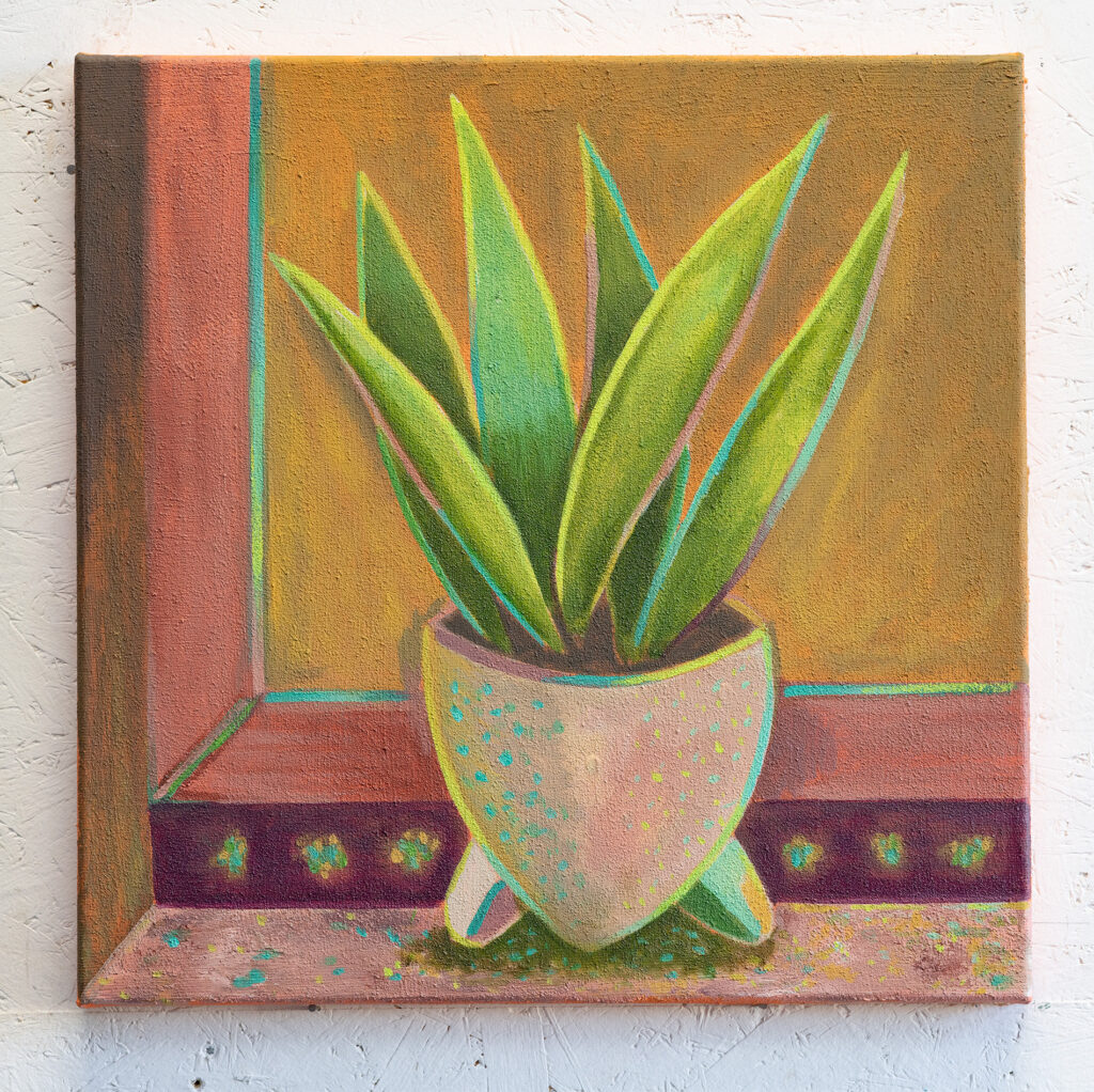 Art and Plants, Sansevieria at the window
