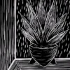 Linoldruck Schwarz-Weiss Sansevieria am Fenster I