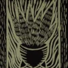 Grüne und schwarze Sansevierias - Druckkunst - Pflanzen und Kunst