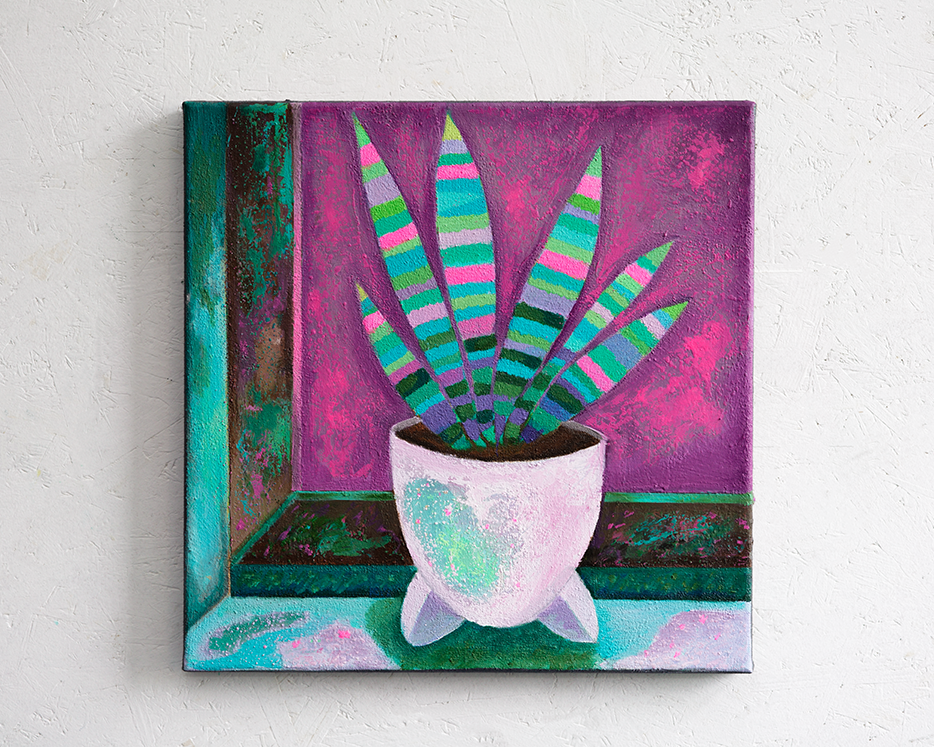 Sansevieria mit pink Himmel