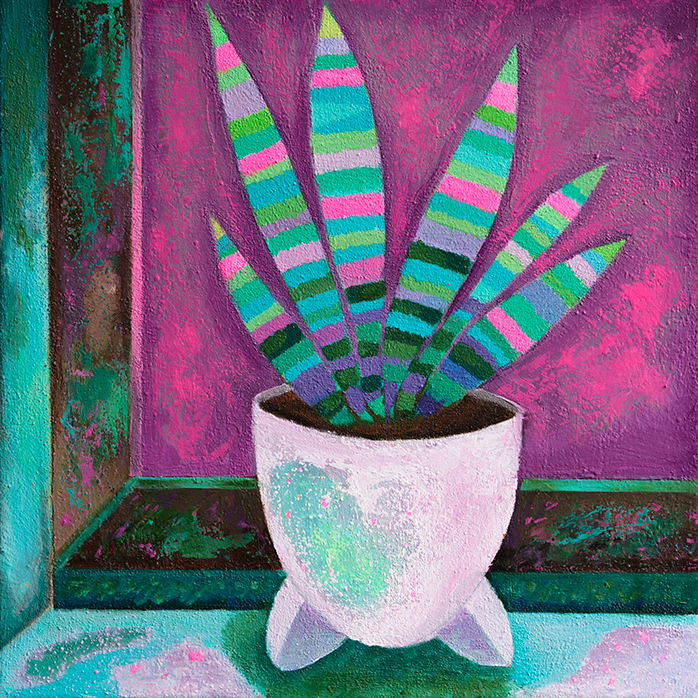 Sansevieria mit pink Himmel - Frontal