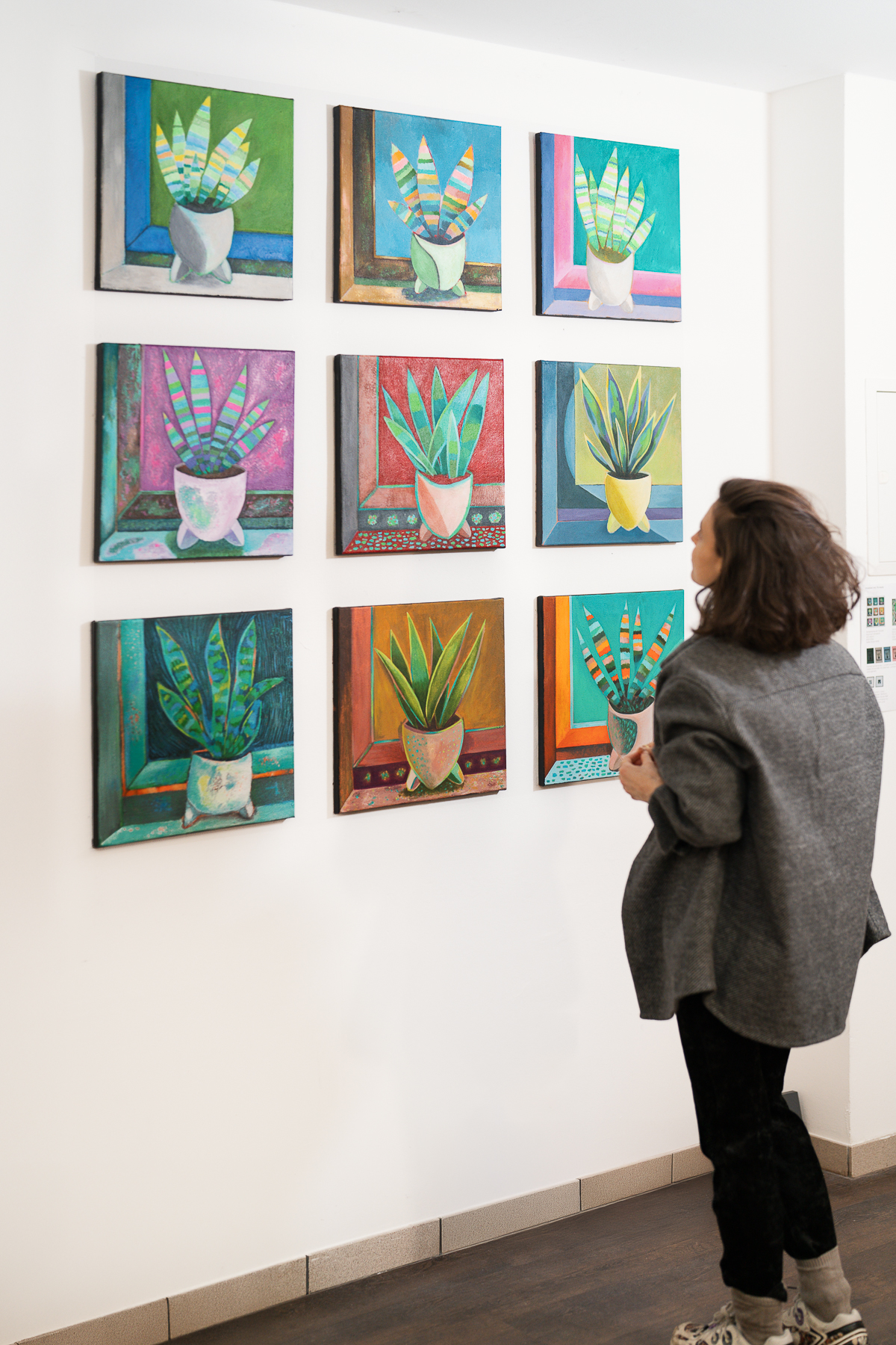 Sansevieria Komplettserie: 9 Stück, Acryl auf Leinwand, je 40 × 40 cm – Bild 2