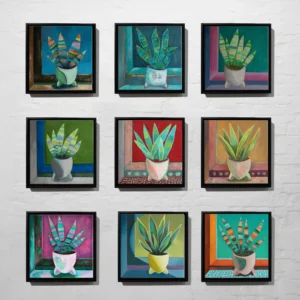 Sansevieria Komplettserie 9 Stück