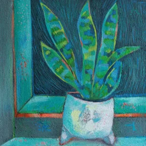 Sansevieria am Fenster I / Sansevieria at the window I