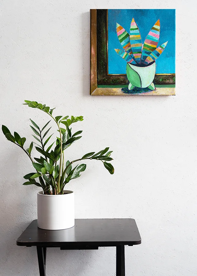 Sansevieria am Fenster mit blauem Himmel