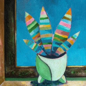 Sansevieria am Fenster mit blauem Himmel