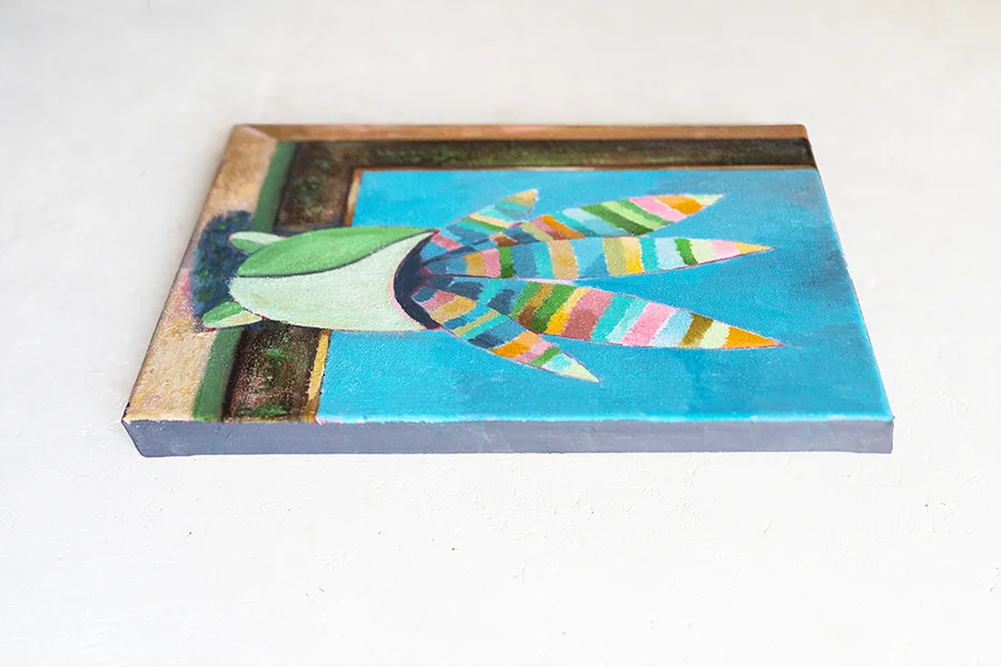 Sansevieria am Fenster mit blauem Himmel