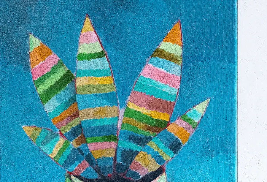 Sansevieria am Fenster mit blauem Himmel