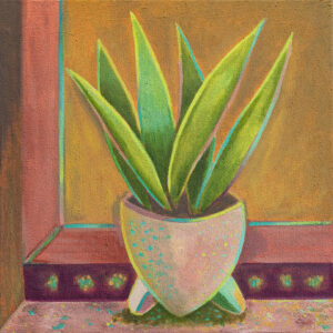 Sansevieria mit Terrakotta-Ton