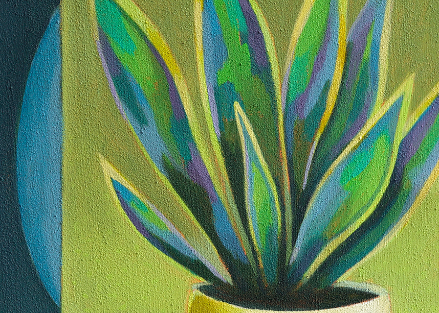 Sansevieria mit gelbem Himmel / Sansevieria with yellow sky