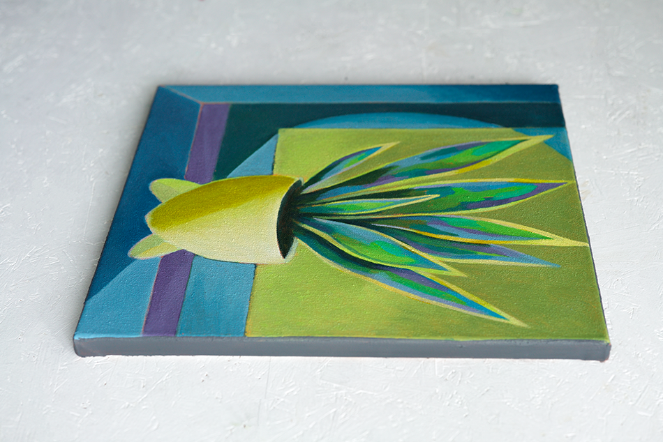 Sansevieria mit gelbem Himmel / Sansevieria with yellow sky