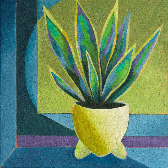 Sansevieria mit gelbem Himmel / Sansevieria with yellow sky