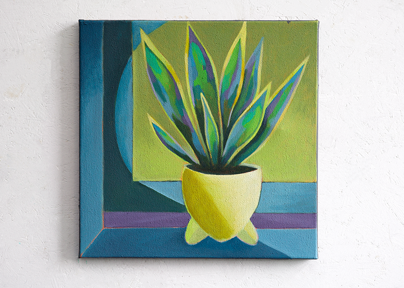 Sansevieria mit gelbem Himmel / Sansevieria with yellow sky