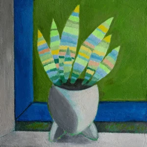 Sansevieria vor blauem Fenster