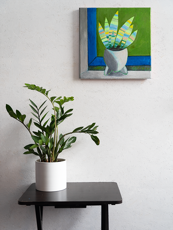 Sansevieria vor blauem Fenster