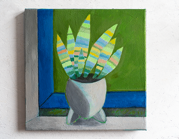 Sansevieria vor blauem Fenster